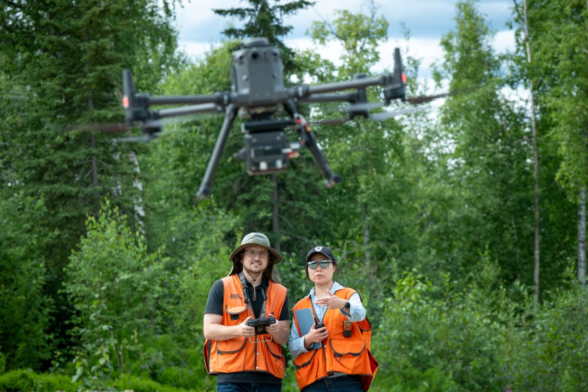 bet88 casino login ph